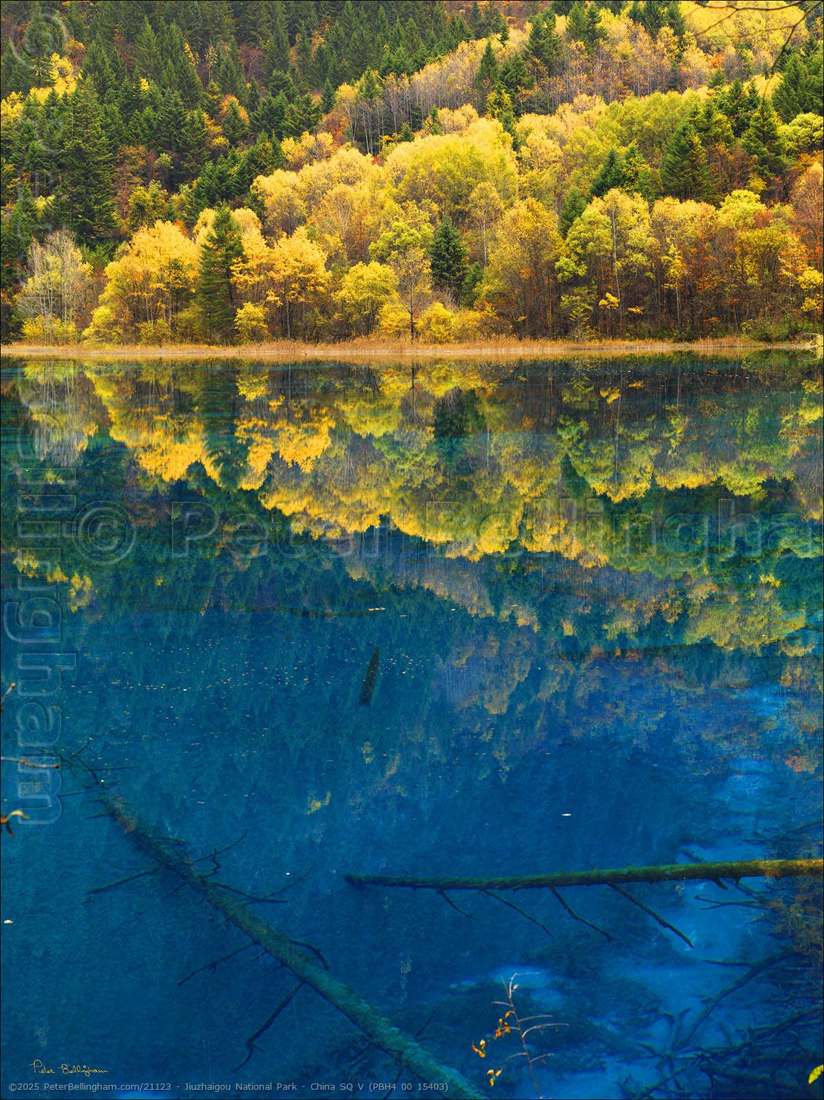 Peter Bellingham Photography Jiuzhaigou National Park - China SQ V (PBH4 00 15403)